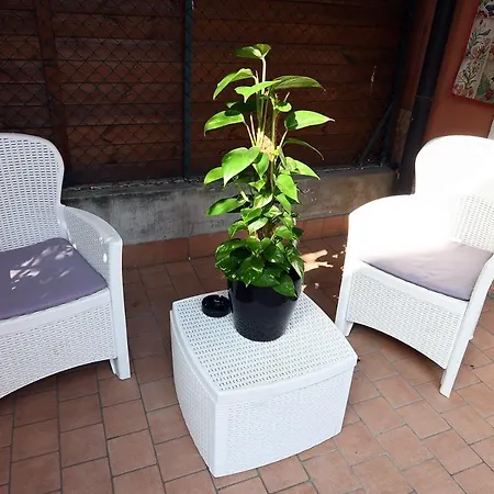 Jana Apartment Verona